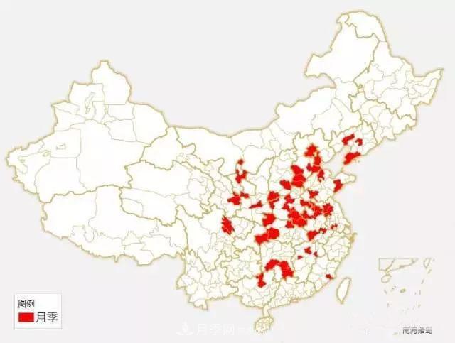 中國各城市市花大集合！月季是51個(gè)城市市花具首位(圖1)