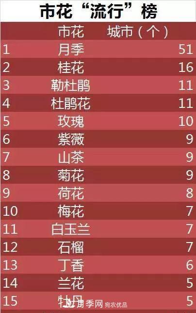 中國各城市市花大集合！月季是51個(gè)城市市花具首位(圖3)