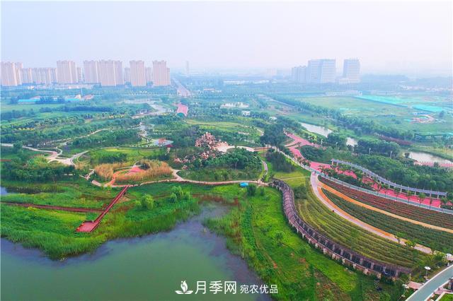 山東濟(jì)南的后花園，童話般月季花王國(guó)，300畝900個(gè)品種月季花盛放(圖4)