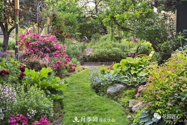 八月月季花卉養(yǎng)護，園丁的打理事宜(圖1)