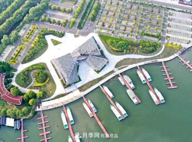 蘇洲金雞湖畔！大美月季花海！(圖21)