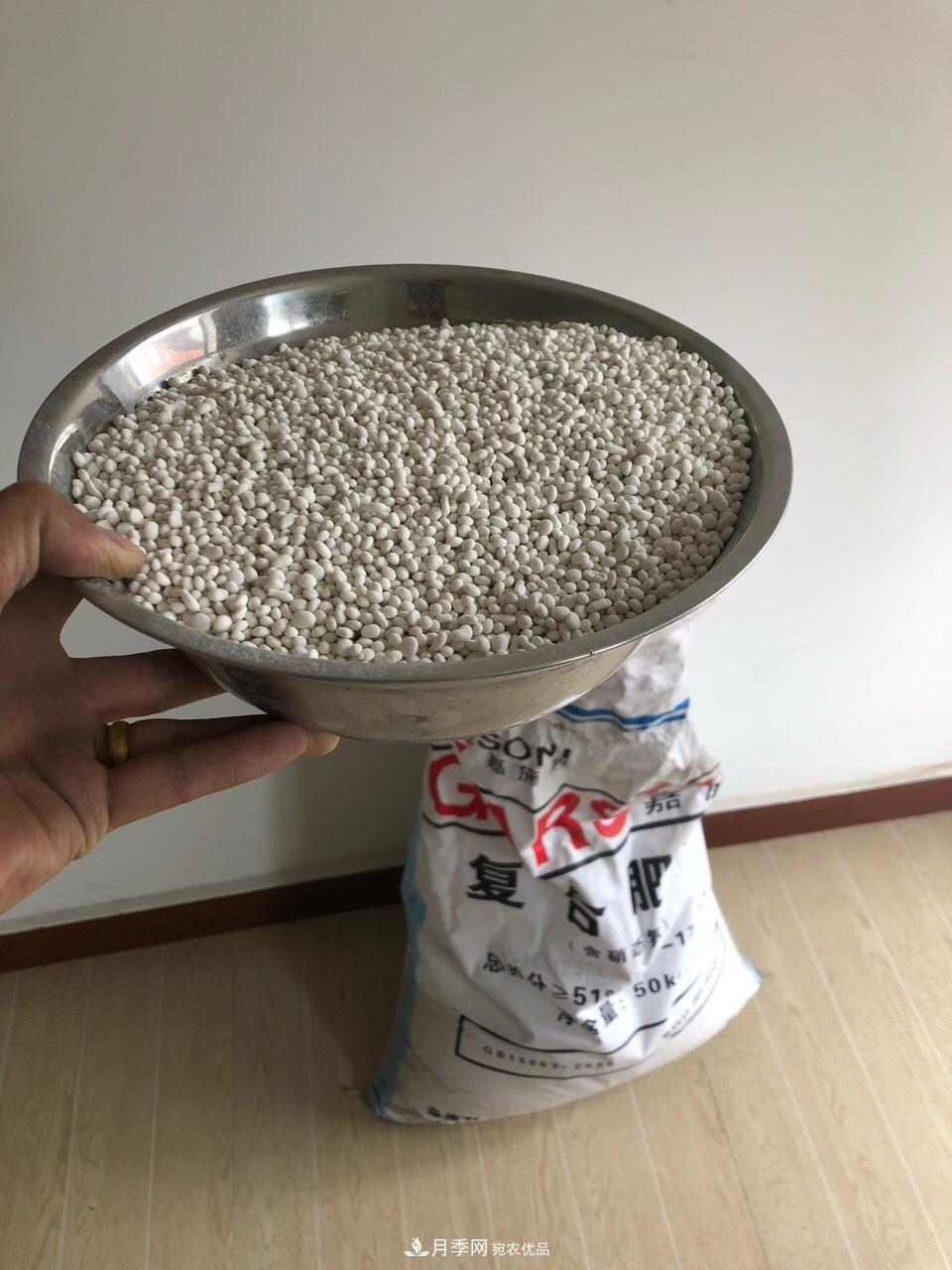 養(yǎng)月季花必備“3種肥”，每月花盆撒一點(diǎn)(圖2)