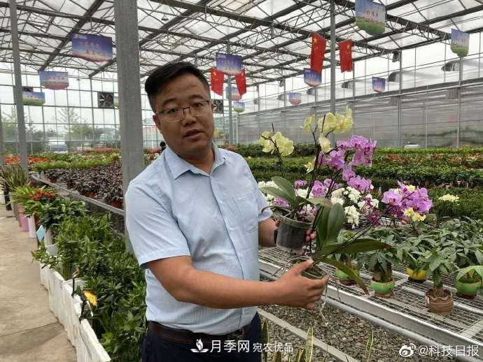 甘肅山里的鮮花基地，讓農(nóng)民顧家掙錢兩不誤(圖1)