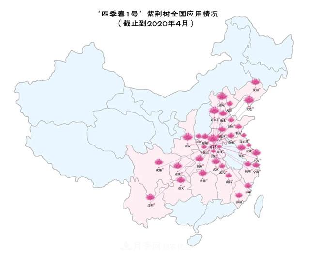 苗木產(chǎn)品的價格、價值和供需——三角關(guān)系之動態(tài)平衡(圖6)