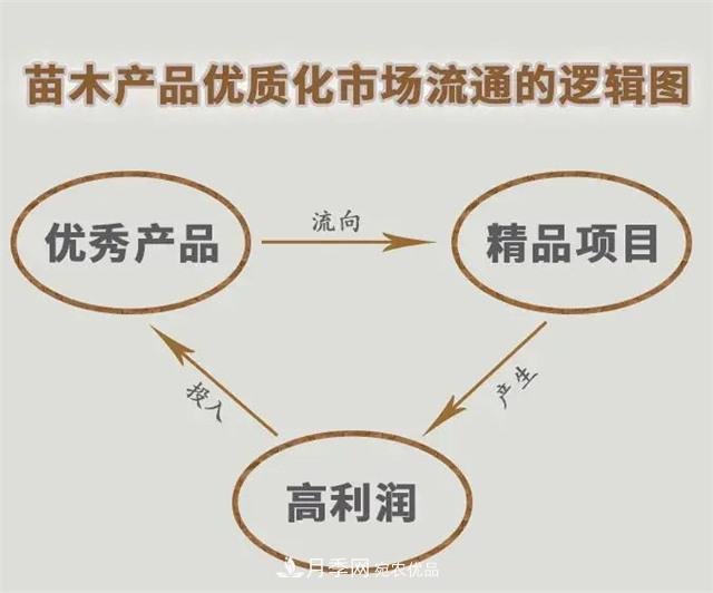苗木產(chǎn)品的價格、價值和供需——三角關(guān)系之動態(tài)平衡(圖5)