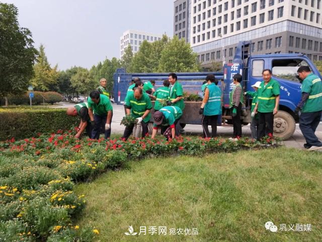 美！6萬盆景觀花卉扮靚鄭州鞏義城區(qū)(圖2)