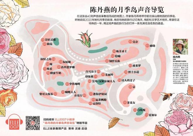 陳丹燕：不能旅行的日子，她開始與月季對話(圖15)