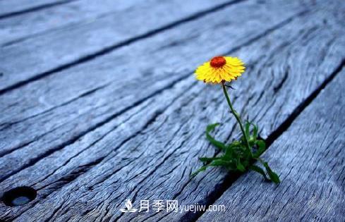 有一種努力叫：以為自己很努力，原來(lái)是在刷存在感(圖1)