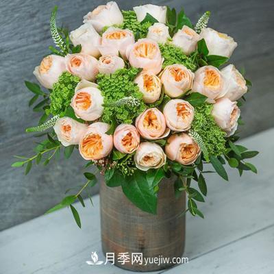 切花月季的十個(gè)養(yǎng)護(hù)技巧，全了(圖1)