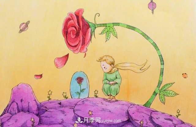 小王子愛的是“月季花”？(圖3)