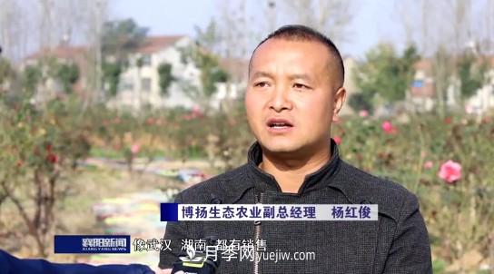 襄陽發(fā)揚五中全會精神 發(fā)展月季產業(yè)花開幸福來(圖2)