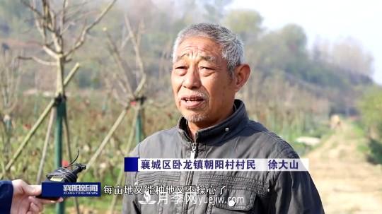 襄陽發(fā)揚五中全會精神 發(fā)展月季產業(yè)花開幸福來(圖4)