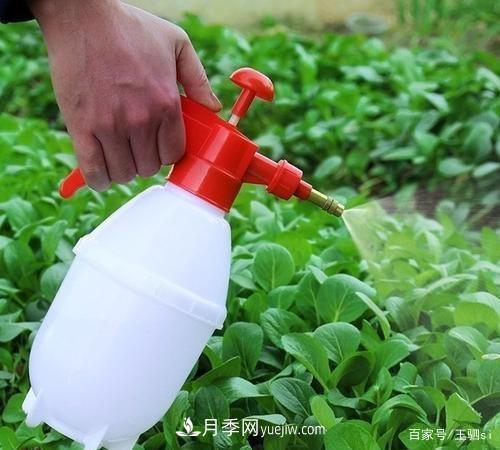 花卉栽培的六大基本工具，你準(zhǔn)備好了嗎？(圖3)