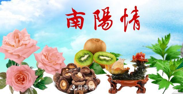 南陽(yáng)新農(nóng)人搞農(nóng)業(yè)要記住四點(diǎn)才能成功(圖1)