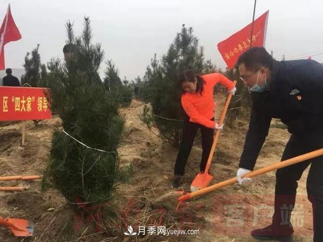 為冬日添新綠！南陽市開展千人義務植樹活動(圖2)