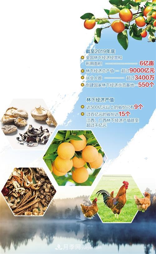 林下經(jīng)濟(jì)讓優(yōu)勢資源不再沉睡(圖1)