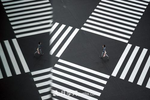 2020年歪果仁選中的年度詞匯，其實(shí)都說了一件事(圖3)