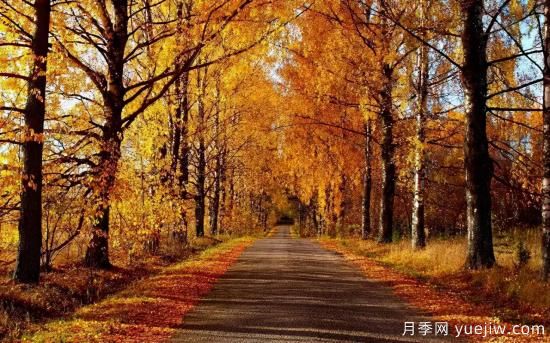 12個(gè)月份的園林設(shè)計(jì)與養(yǎng)護(hù)技術(shù)要點(diǎn)(圖7)