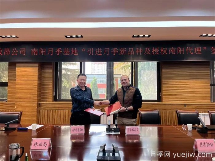 南陽月季基地和法國玫昂月季公司簽約引進新品種(圖1)