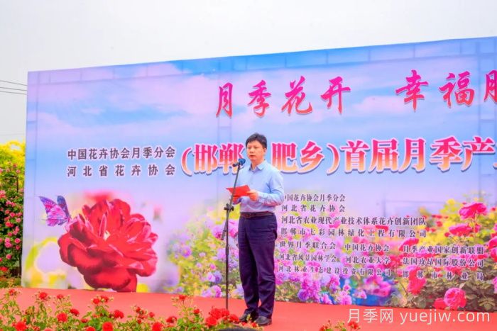 邯鄲月季：肥鄉(xiāng)區(qū)首屆月季產(chǎn)業(yè)高質(zhì)量發(fā)展大會舉辦(圖1)