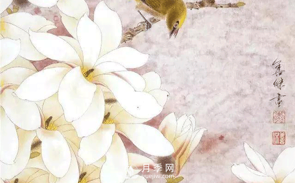 怎樣畫白玉蘭工筆畫，白玉蘭工筆畫詳細(xì)步驟(圖1)
