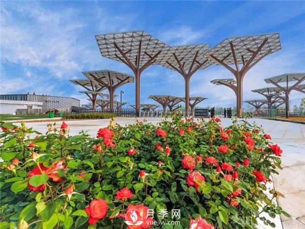南陽世界月季大觀園景區(qū)簡(jiǎn)介(圖1)