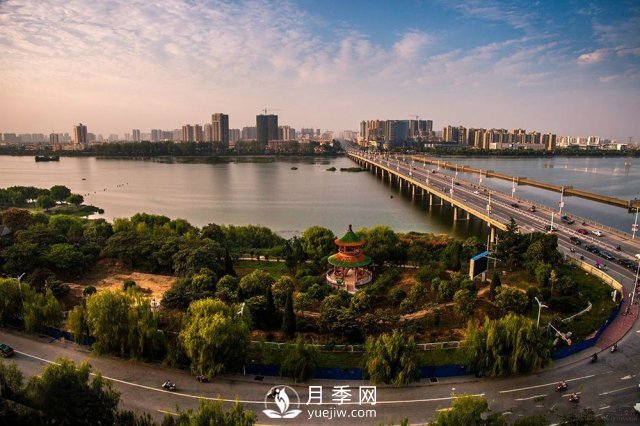 南陽(yáng)50強(qiáng)企業(yè)名單：牧原食品第2，仲景宛西第8(圖1)