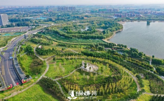 3.13萬畝！2021年鄭州綠化目之所及皆是綠(圖1)