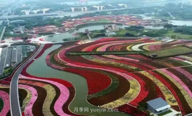 第十二屆南陽月季花會4月29日開幕，花事活動提前報(圖1)