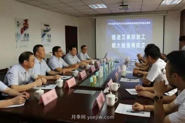 推進(jìn)艾草深加工，做大做強(qiáng)南陽(yáng)艾，主題座談會(huì)成功召開(kāi)(圖1)