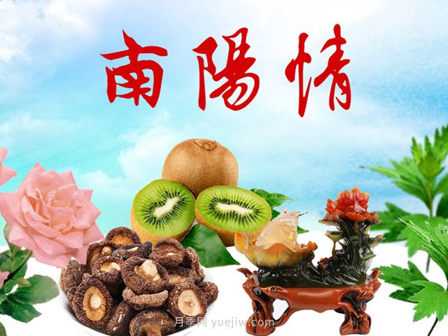 2021年南陽(yáng)市常住人口數(shù)量，及各區(qū)縣人口數(shù)量(圖1)