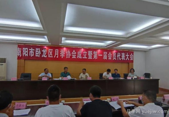 南陽市臥龍區(qū)月季協(xié)會成立，趙磊當選會長(圖1)