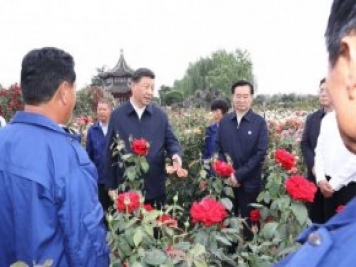 總書記走進這片花海，南陽月季產(chǎn)業(yè)生態(tài)富民