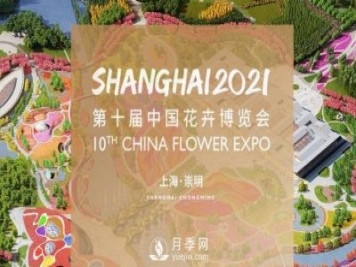 第十屆中國(guó)花博會(huì)將于5月21日在上海舉辦，歷時(shí)42天