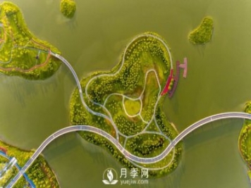 南陽(yáng)月季扮美肇慶，月季花海驚艷綻放
