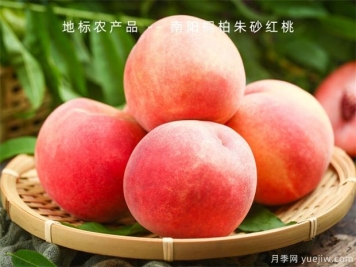 桃樹怎么管理大全？桃樹周年管理月歷表