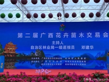 花開八桂壯美廣西，第二屆廣西花卉苗木交易會開幕