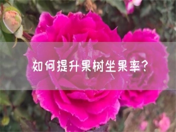如何提升果樹(shù)坐果率？