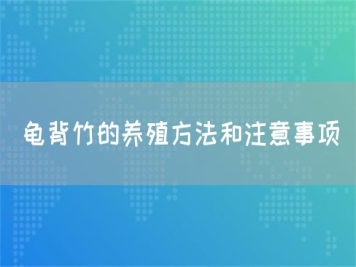 龜背竹的養(yǎng)殖方法和注意事項(xiàng)
