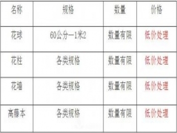 清地在即，部分造型月季品類月季價(jià)格短時(shí)間走低