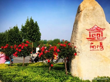 南陽內鄉(xiāng)縣森林覆蓋率45.9%，中藥材達400多種