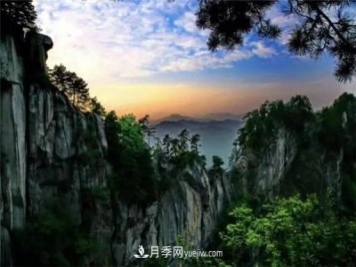 一縣一品公益助農(nóng)，河南南召特色農(nóng)產(chǎn)品辛夷