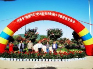 河南省四優(yōu)四化項(xiàng)目 助推南陽月季、梔子產(chǎn)業(yè)發(fā)展