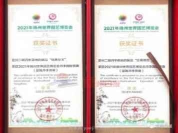 河北定州月季在揚(yáng)州世園會斬獲大獎，一金一銀兩銅！