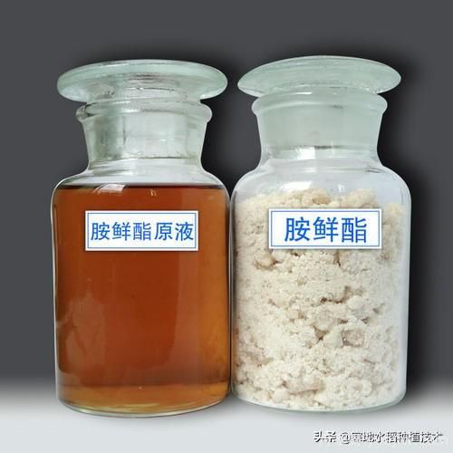 常見(jiàn)的花卉生長(zhǎng)調(diào)節(jié)劑都有哪些？它們都起什么作用？(圖8)
