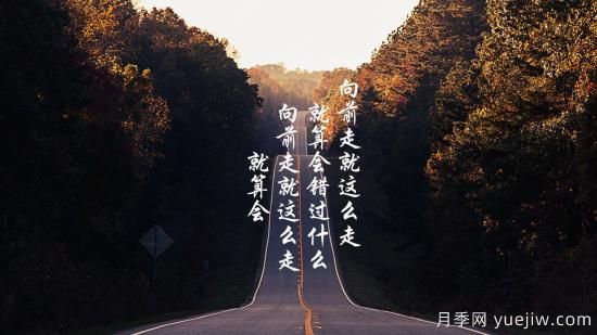 北方常見園林植物有哪些？(圖1)