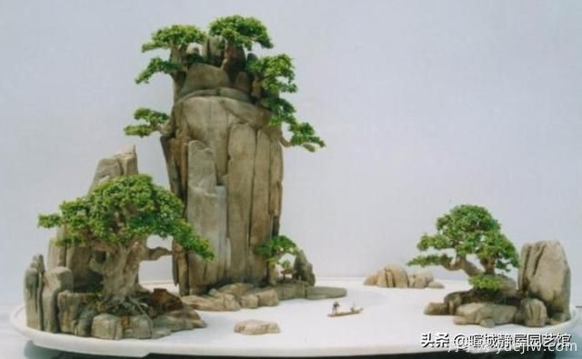什么是山水盆景？山水盆景的形式有哪些？(圖2)