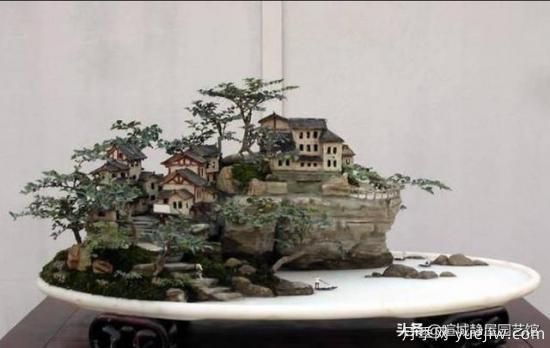 什么是山水盆景？山水盆景的形式有哪些？(圖1)