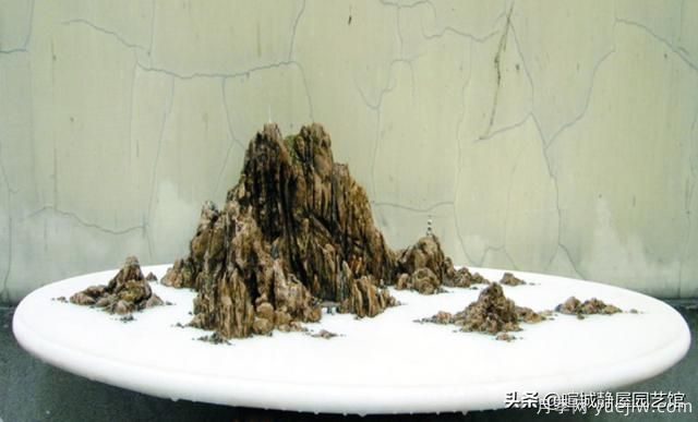 什么是山水盆景？山水盆景的形式有哪些？(圖3)