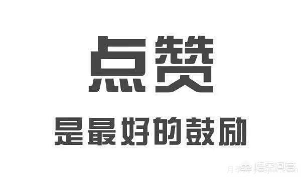 彩葉樹種哪些適合南方種植？表現(xiàn)要好些的！(圖3)